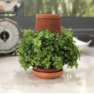 Tevaplanter – Self-Watering Indoor Planter